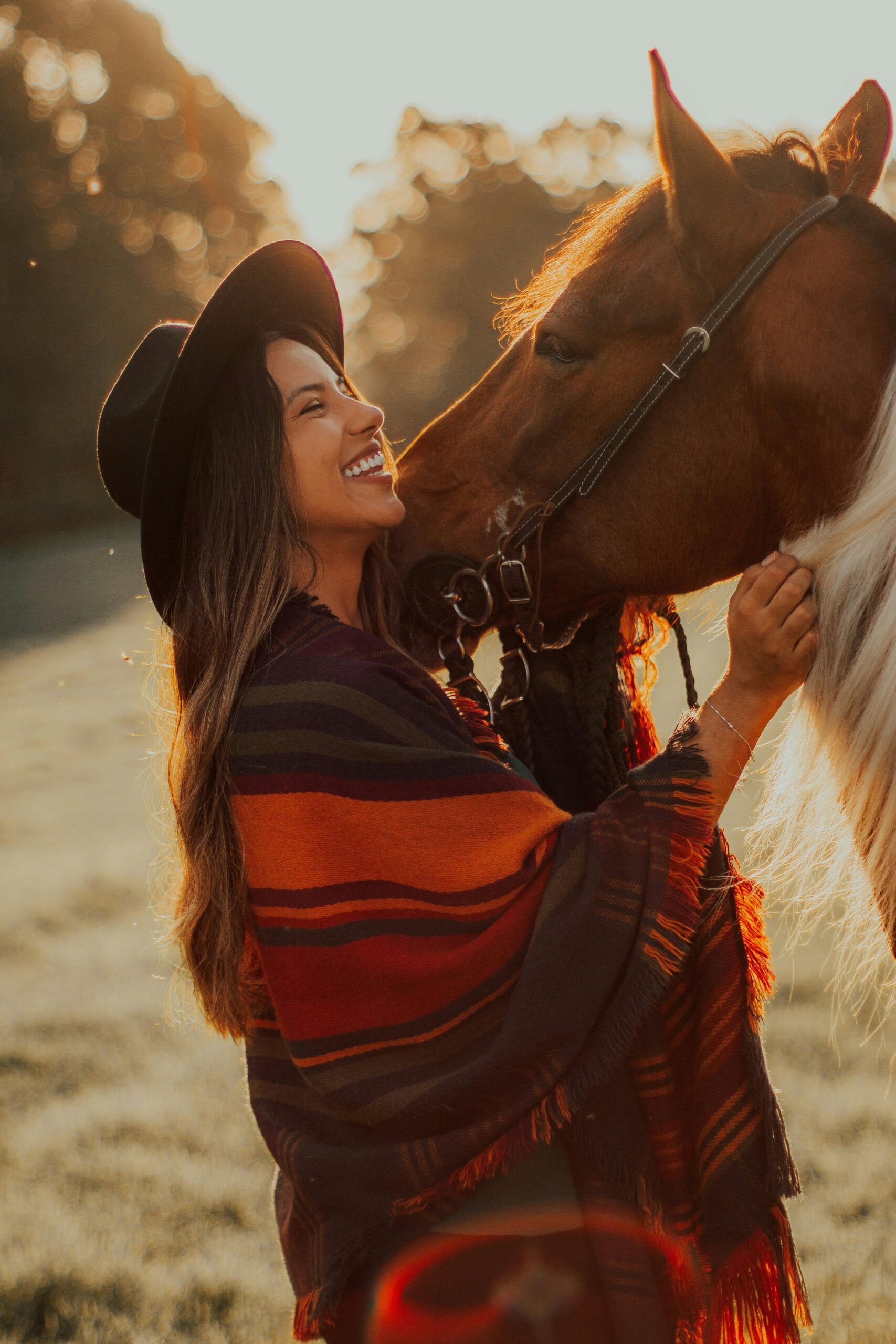 shooting photo cheval, photographie cheval