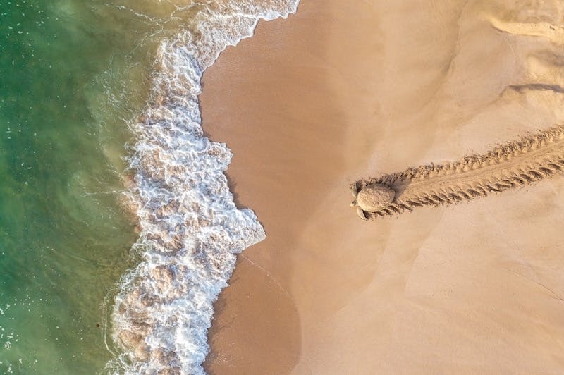 concours photos drone tortue sur la plage, photoshoot drone