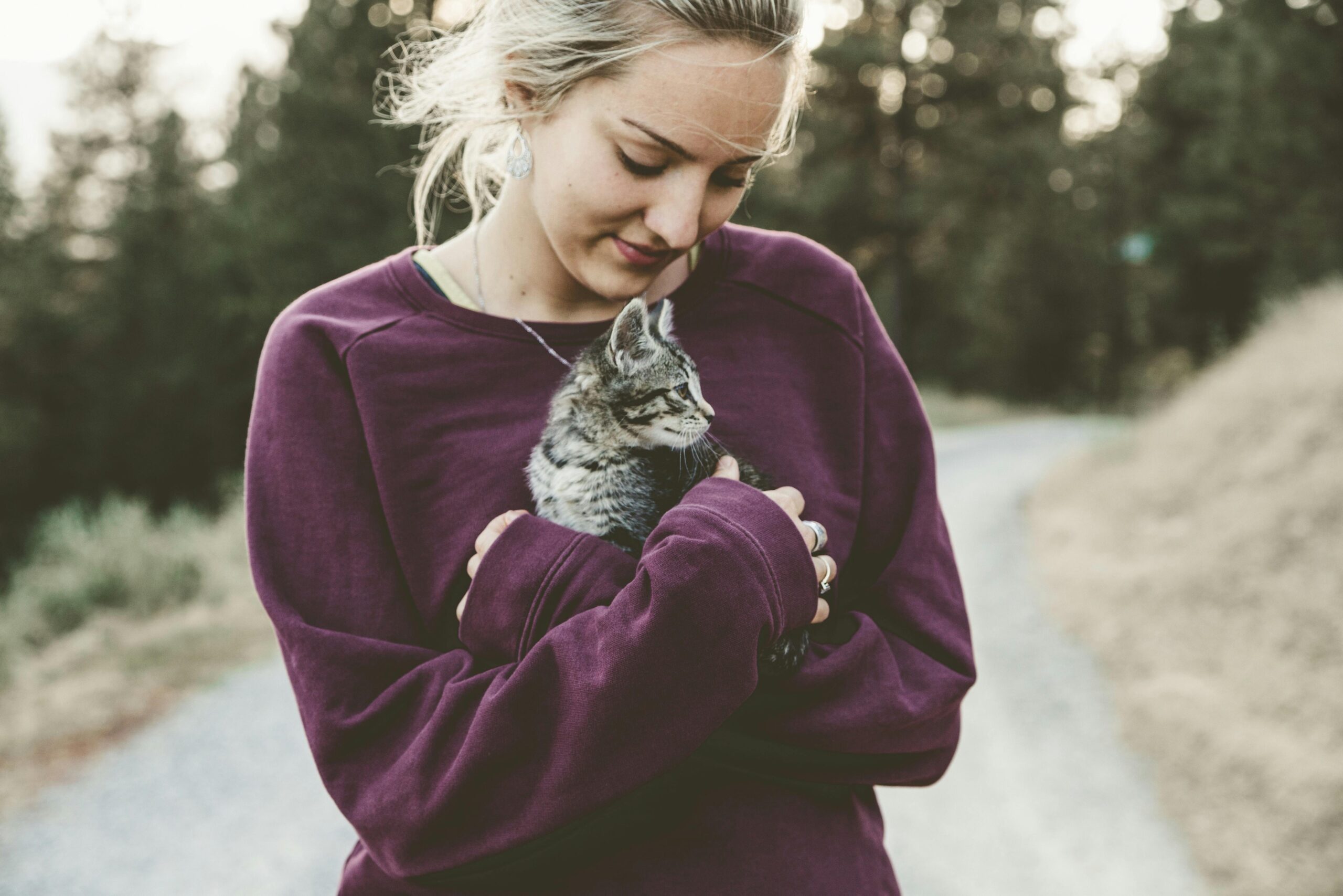 shooting photo animalier, photographe animalier, photo chat 