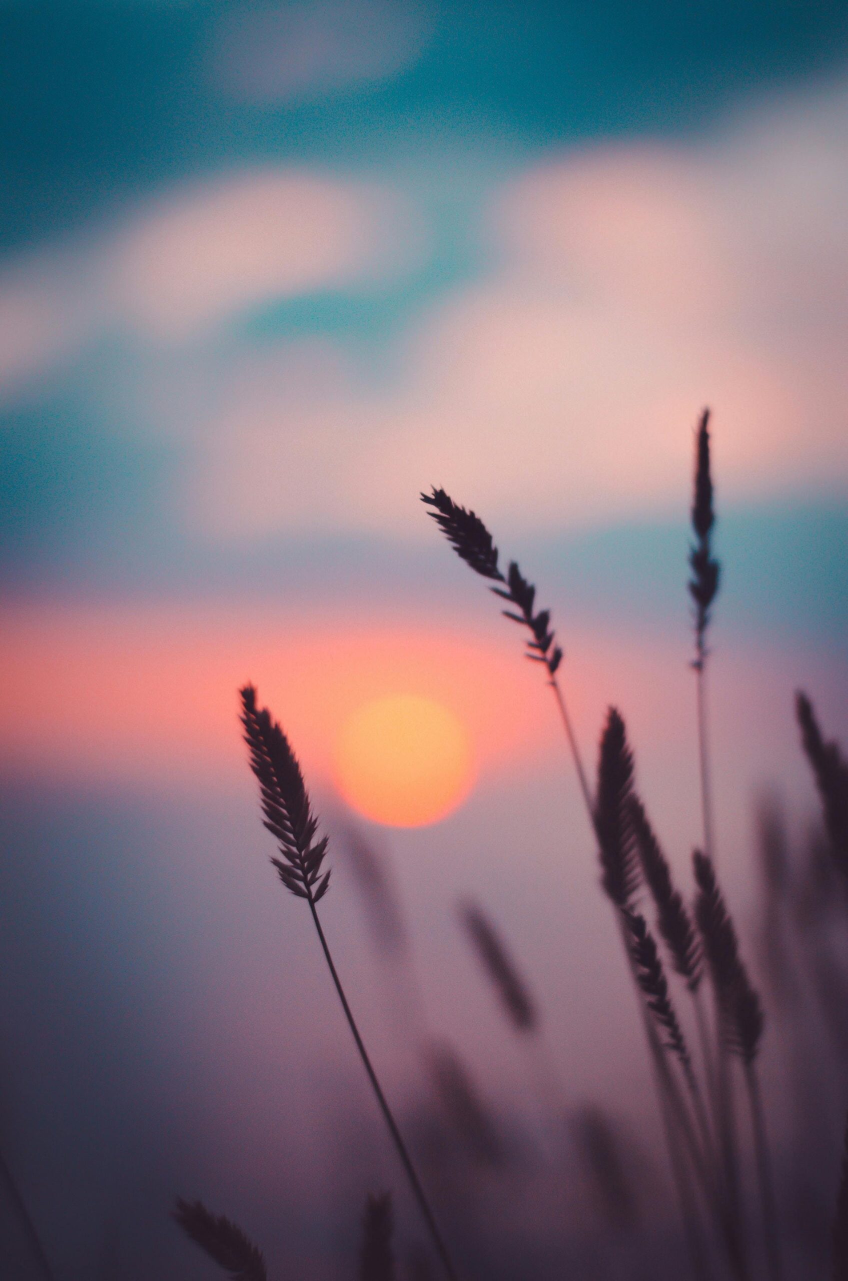 golden hour, conseils photographe